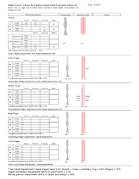 sample hand report pdf