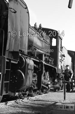 steam train and driver